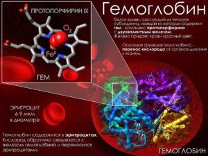 Что происходит при приёме Хемохим?