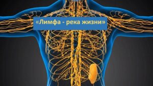 Что происходит при приёме Хемохим?