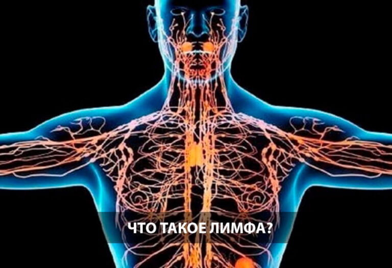 Что такое лимфа